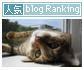 blog ranking.jpg